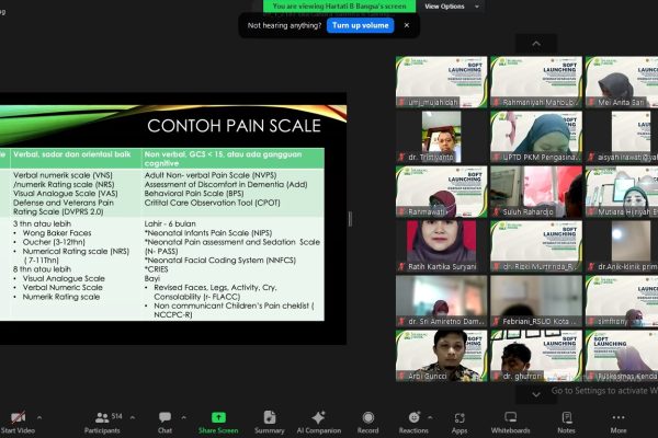 Webinar Pusbangsisdik 17